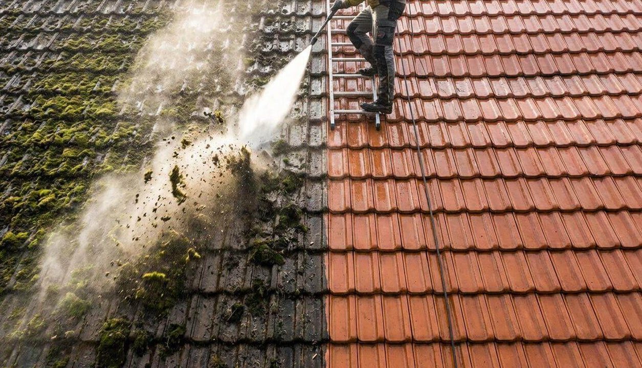 Roof 1 e1786023105892