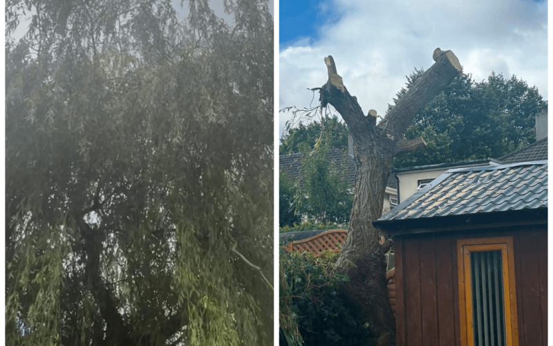 Tree0